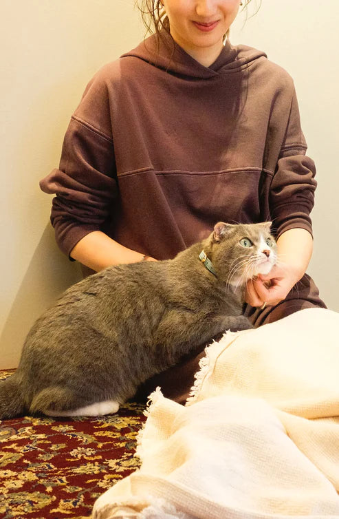 Apple Meow Collar