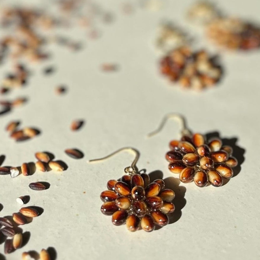 紫黒米【POPUP販売中】