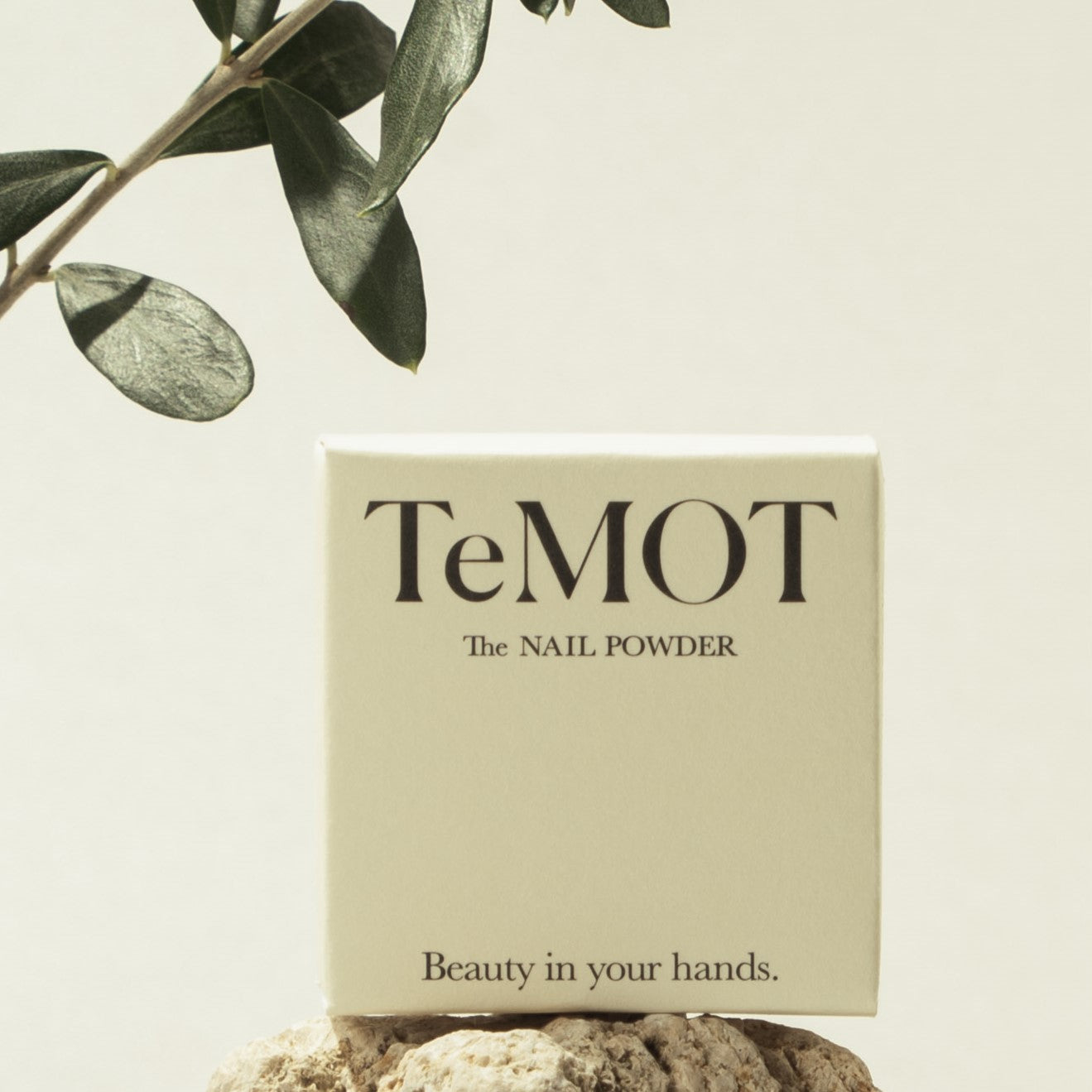 TeMOT The NAIL POWDER