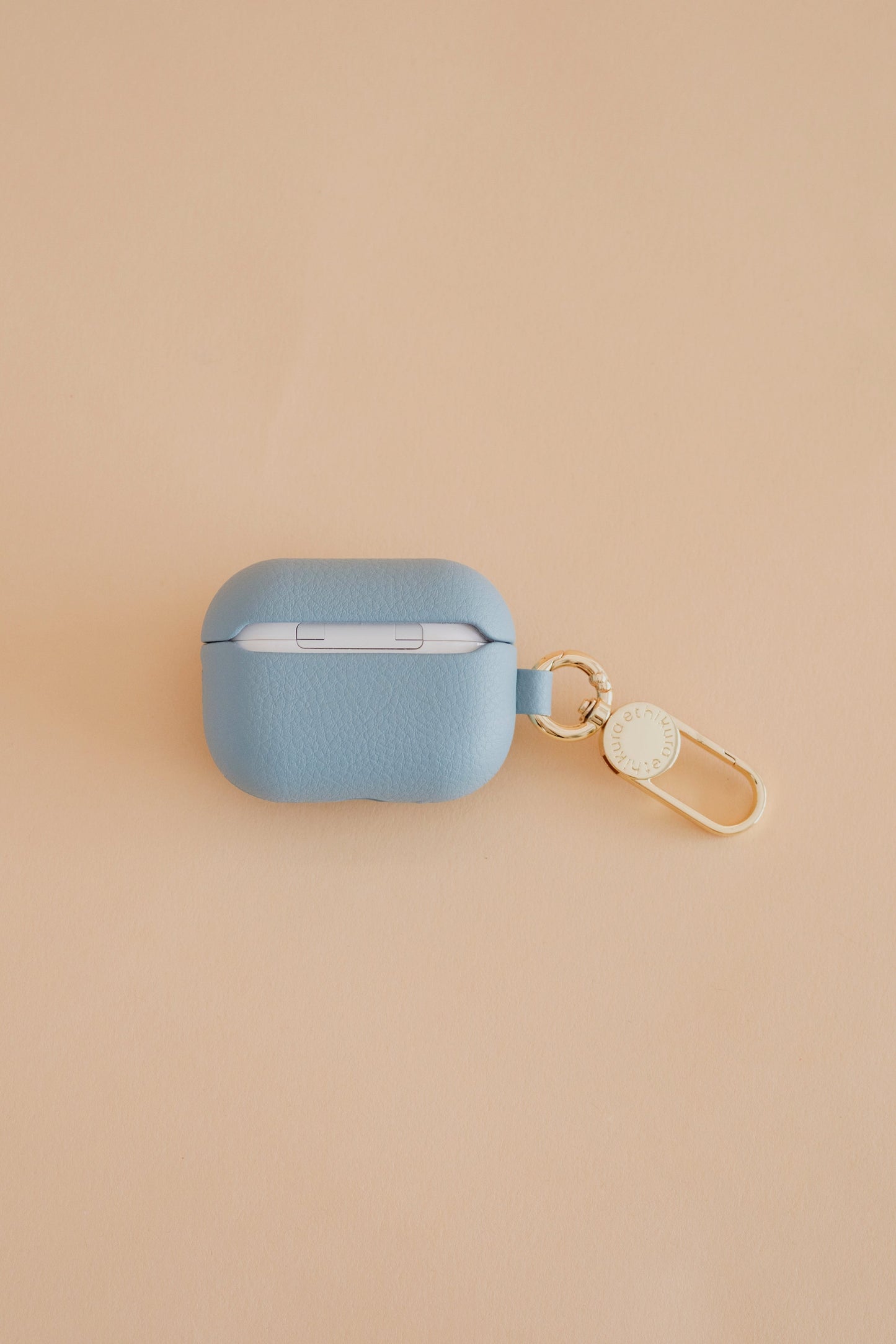 Apple AirPods Pro Case