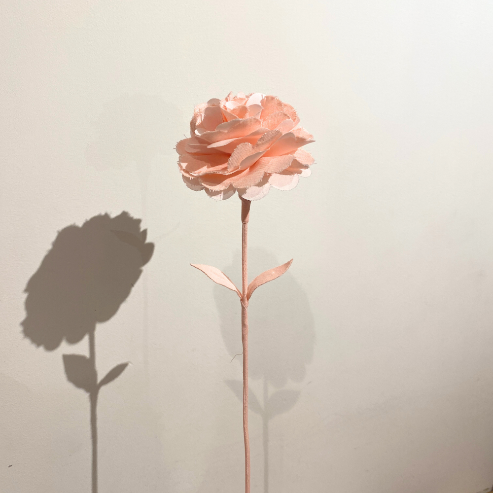 サステナブルフラワー|carnation