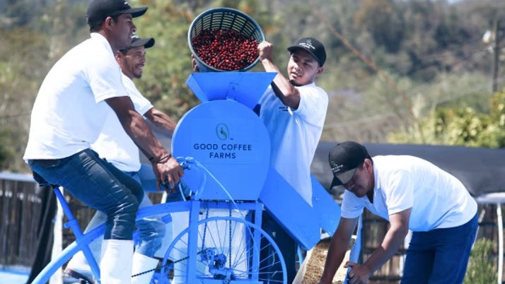 GOOD COFFEE FARMS