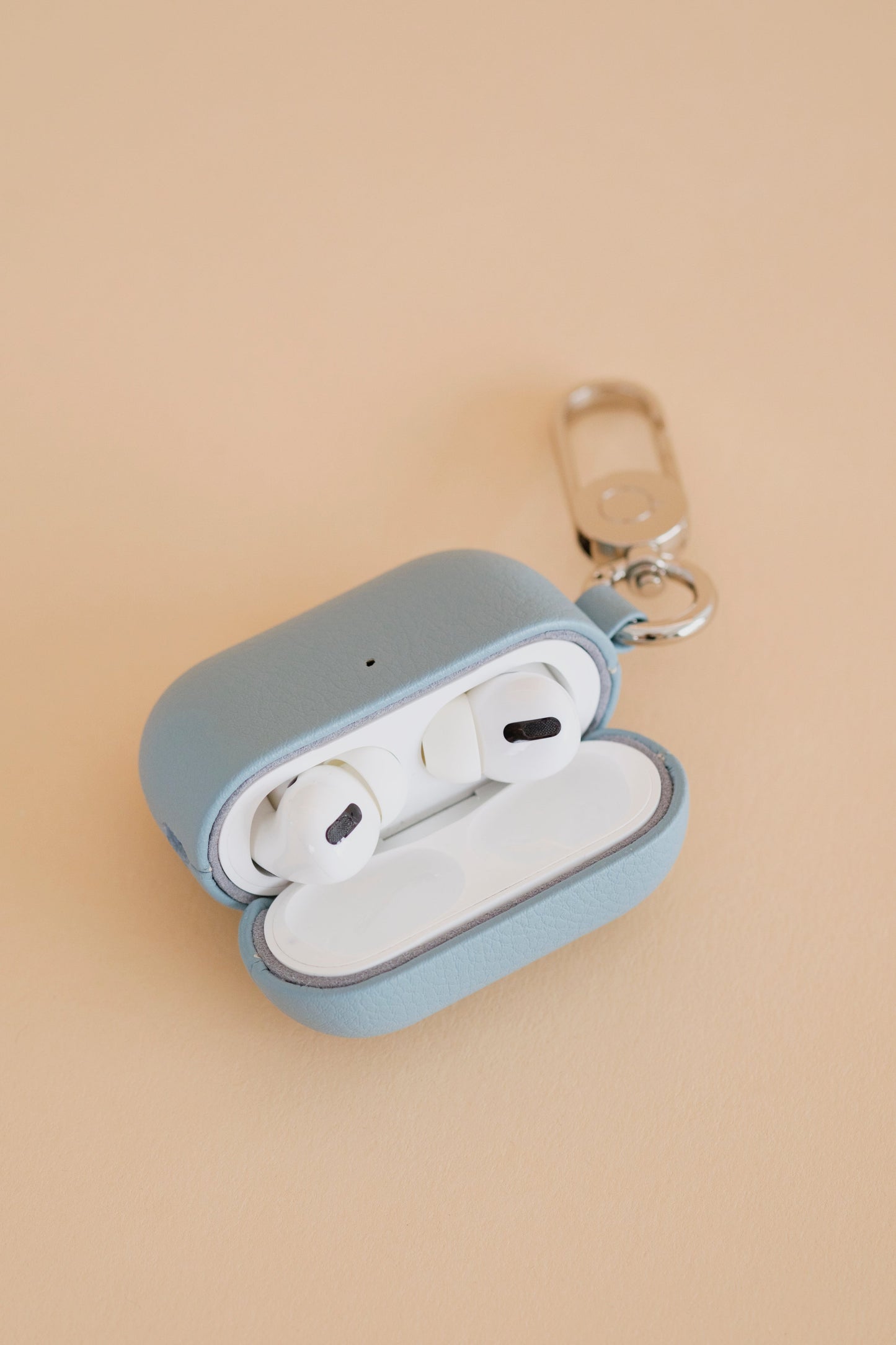 Apple AirPods Pro Case