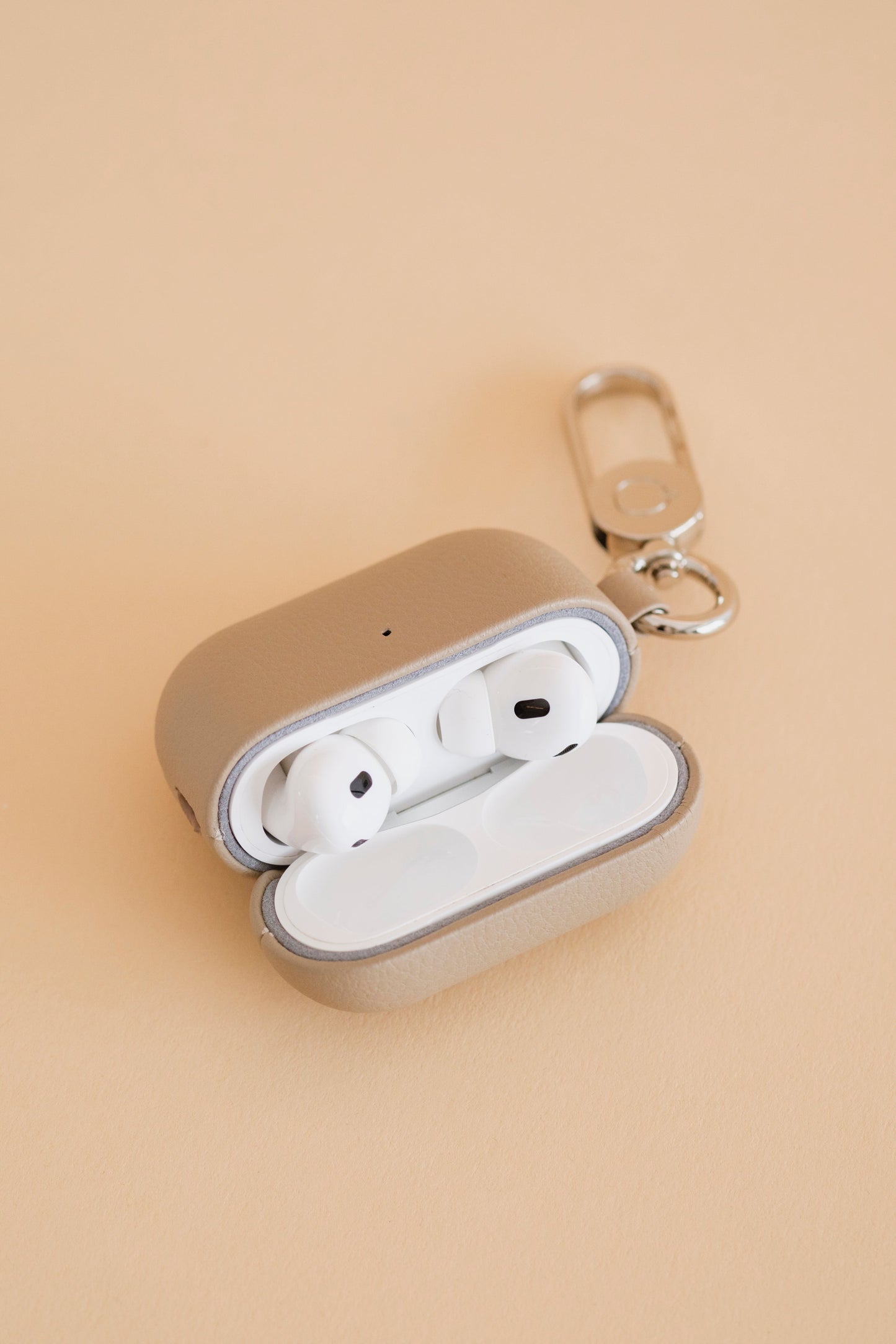 Apple AirPods Pro Case
