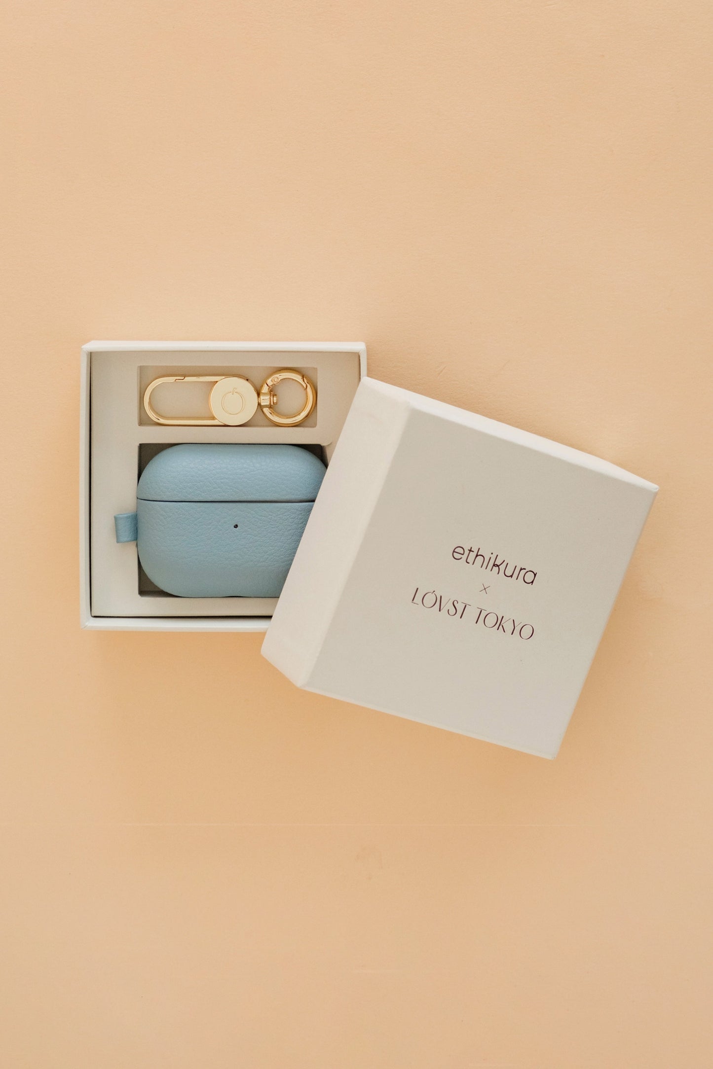 Apple AirPods Pro Case