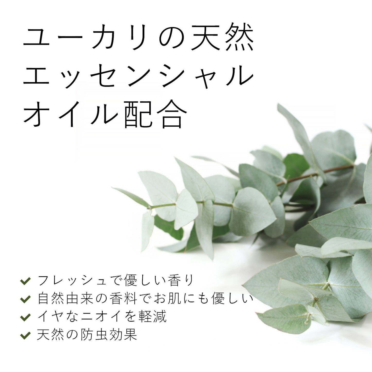 デリケート&ウールウォッシュ（おしゃれ着用）