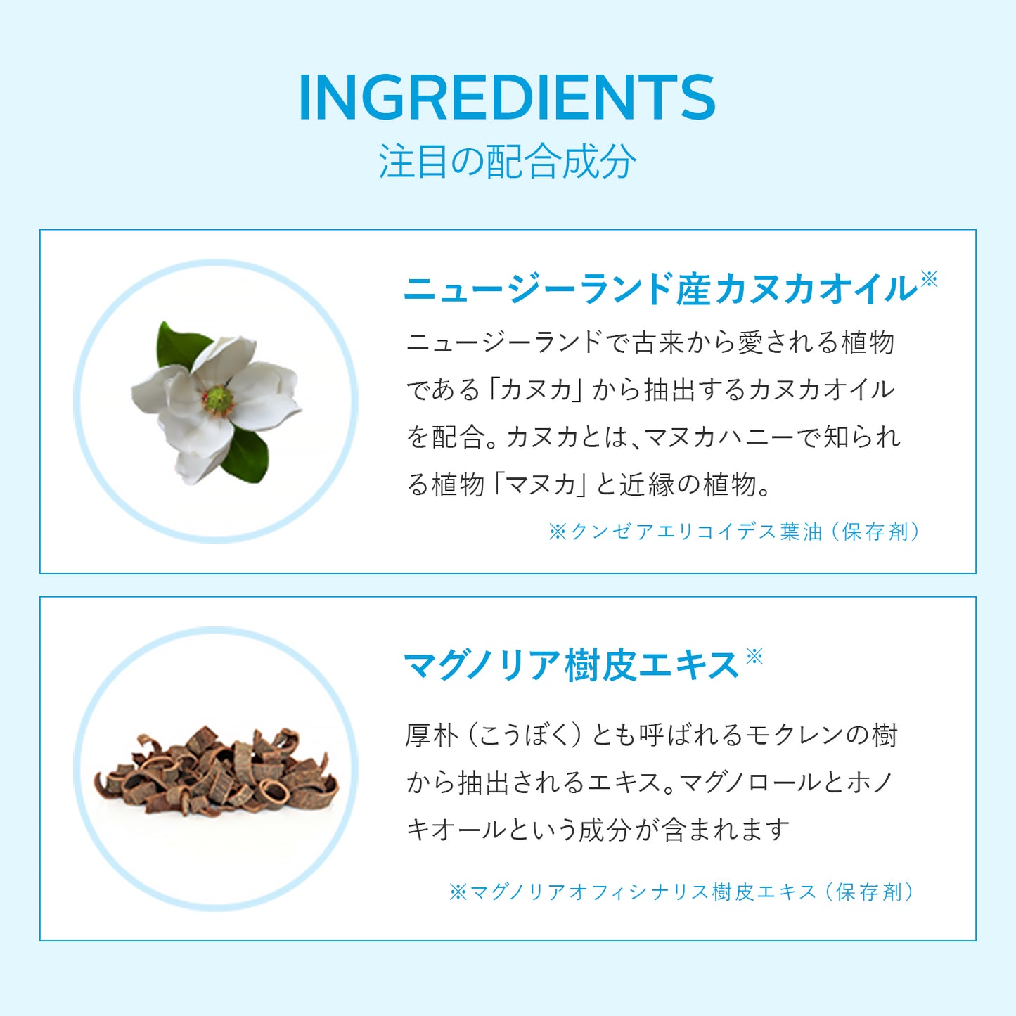 トゥースペースト