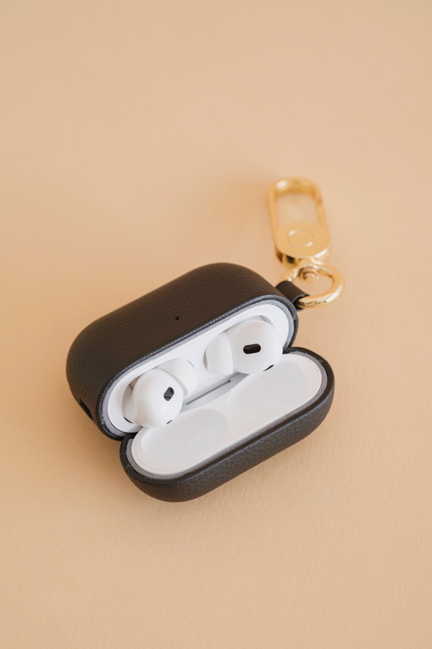 Apple AirPods Pro Case