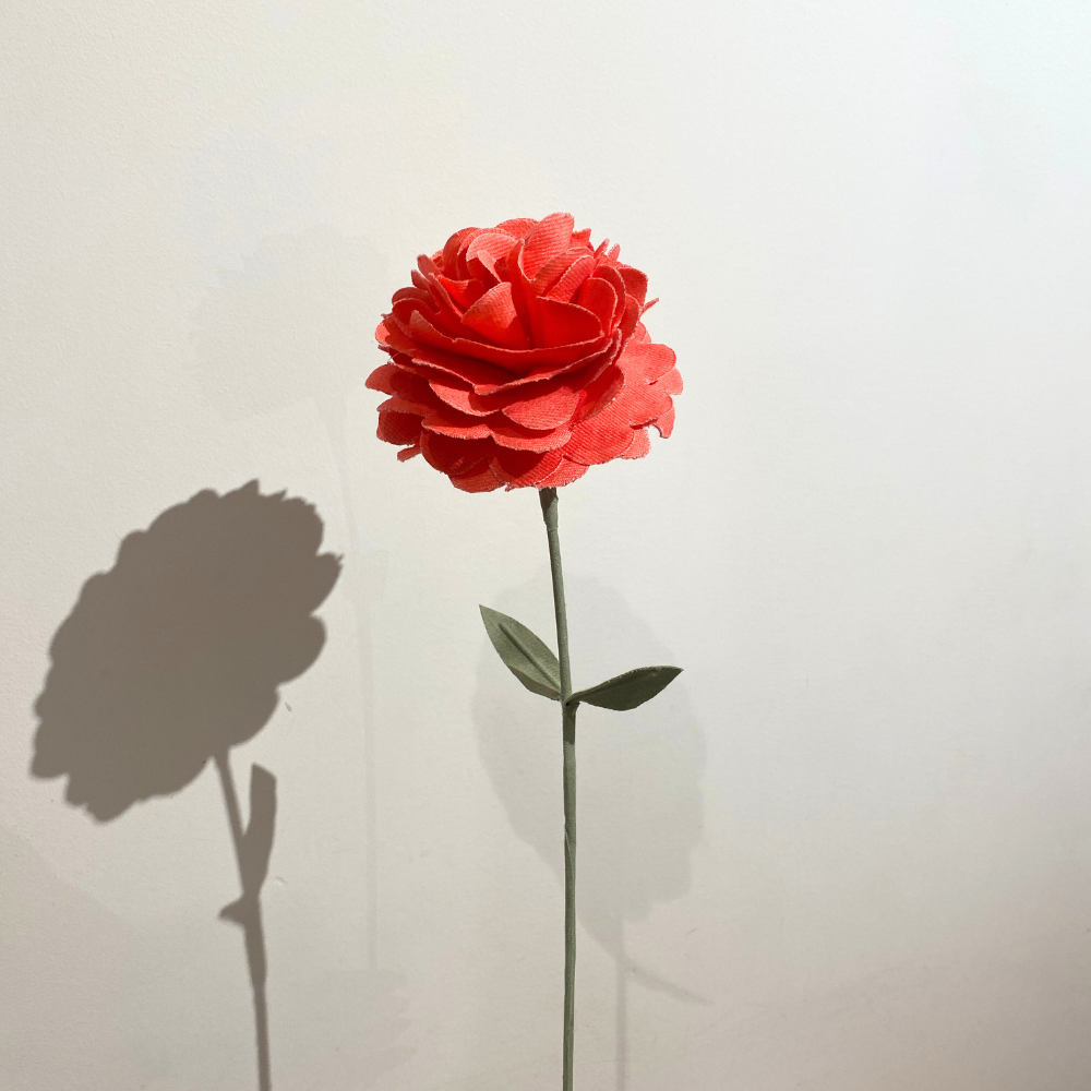 サステナブルフラワー｜carnation