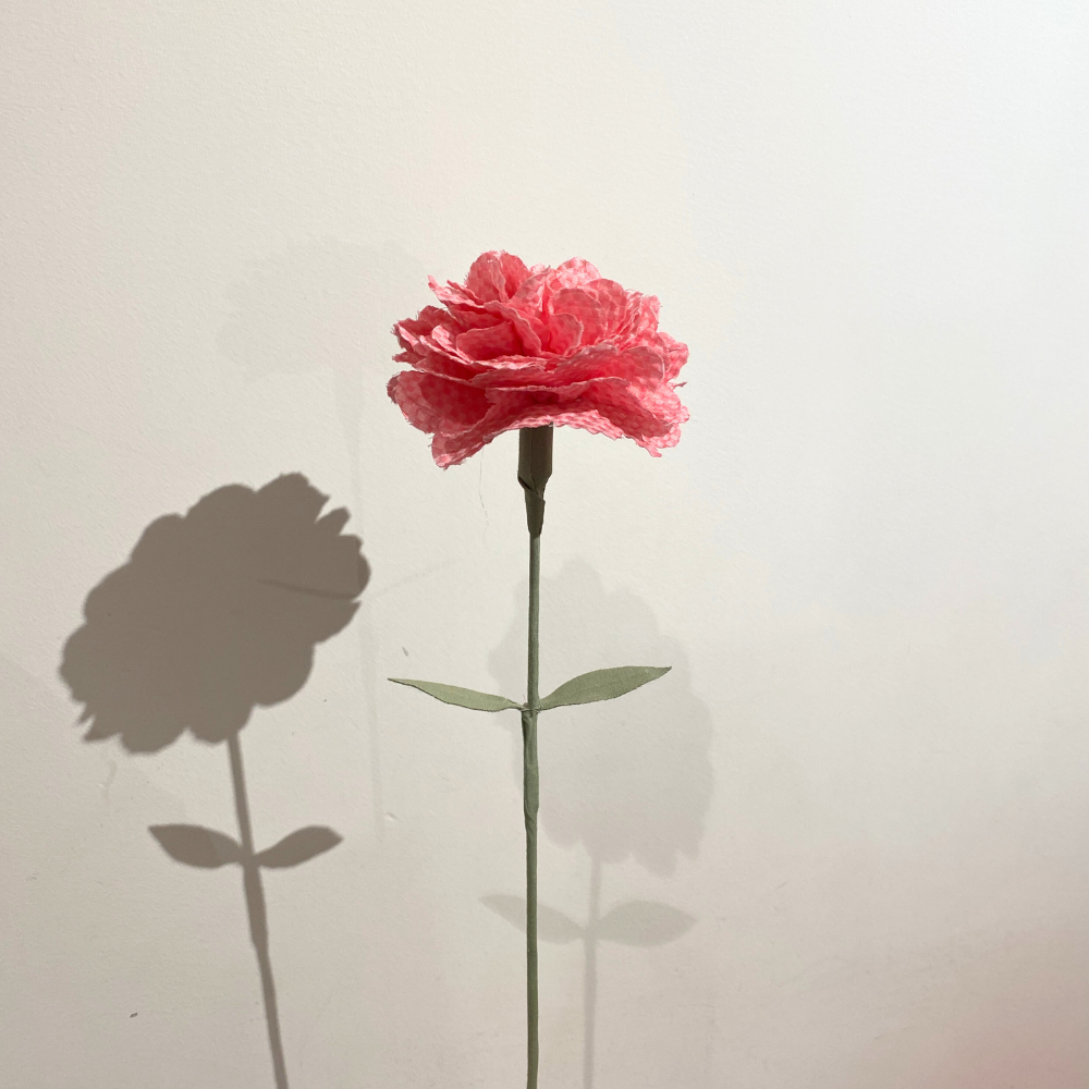 サステナブルフラワー｜carnation
