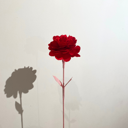 サステナブルフラワー｜carnation