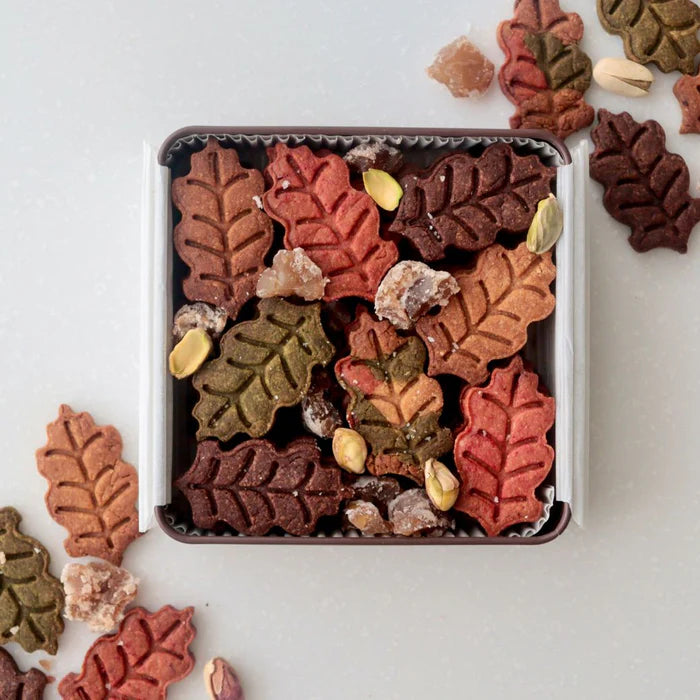 【限定】秋のクッキー缶