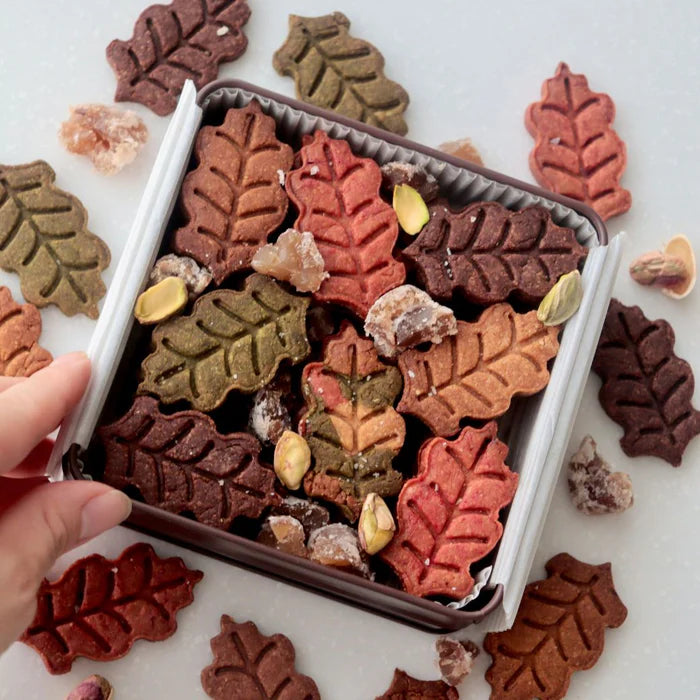 【限定】秋のクッキー缶