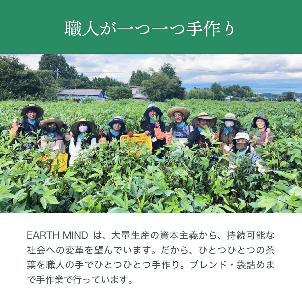 ～福み茶～ 15包入り - エシカルな暮らしオンラインストア