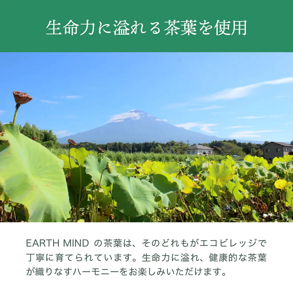 ～女神茶～ 7包入り - エシカルな暮らしオンラインストア