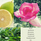 Flora Eau de toilette